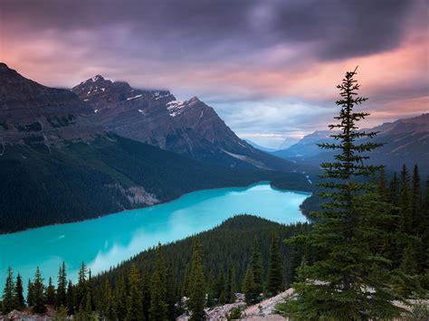27 Best Udestinsparks Images On Pholder Happy 150th Canada Youre