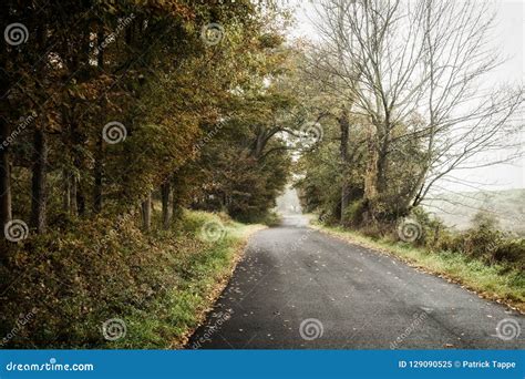Foggy Country Road Stock Image Image Of Deserted Agricultural 129090525