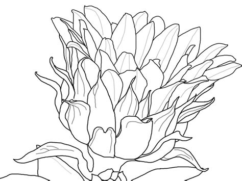 We did not find results for: Kumpulan Sketsa Gambar Bunga Hitam Putih Untuk Diwarnai ...