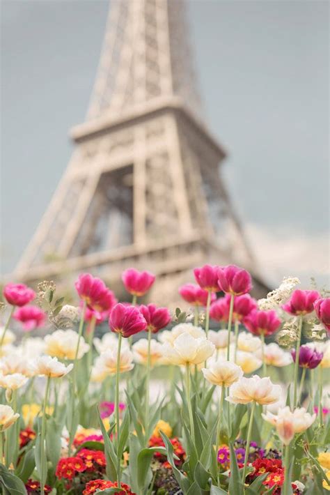 Paris Photography Tulips At The Eiffel Tower By Georgiannalane 3000