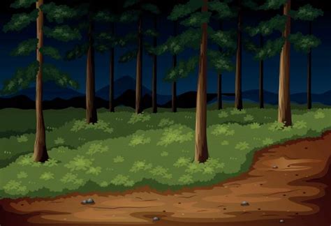 Dark Forest Path Background Illustrations Royalty Free Vector Graphics