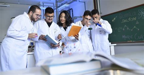 Técnicas De Investigación Qué Son Y Cuáles Son Diferenciador