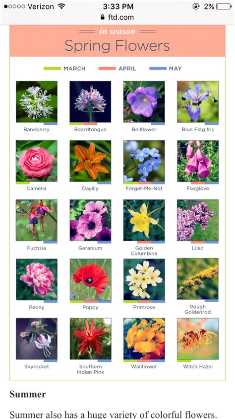Unique names for a spring baby range from flower names daffodil and hyacinth to neo, which means new, and primavera, which means spring. Pin by Kelton Thompson on Plants | Spring season flowers ...