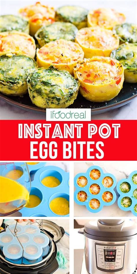 Best Instant Pot Recipe Healthy Instant Pot Recipes Instant Pot