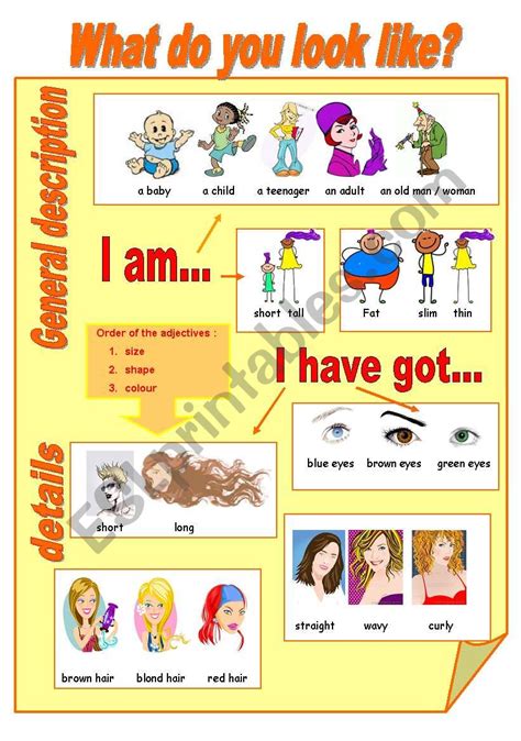 What Do You Look Like Esl Worksheet By Firstime
