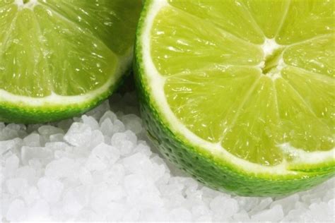 هي شجيرة كبيرة أو شجرة كبيرة تصل ارتقاعها من 5 إلى 15 متر وهي دائمة الخضرة، زهورها بيضاء تكون مفردة أو في تجمعات صغيرة، ثمارها مستديرة. ملح ليمون - BharatQ8