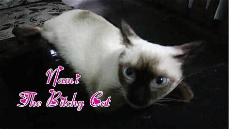 Join to listen to great radio shows, dj mix sets and podcasts. Ang Paglalambing ng Bitchy Cat Ko | Miko Ong - YouTube