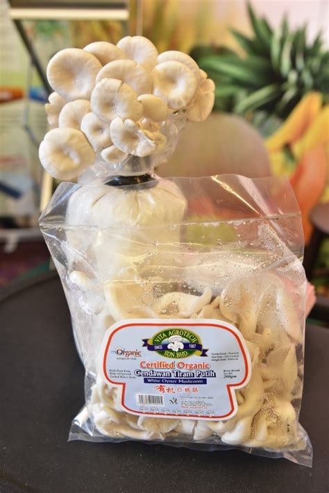 Kali ni saya nak kongsikan resepi ayam blackpepper bersama cendawan shitake. BLOG - JABATAN PERTANIAN MALAYSIA: POTENSI CENDAWAN ORGANIK