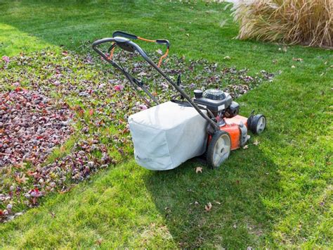 Fall Lawn Care How To Take Care Of Grass In Fall