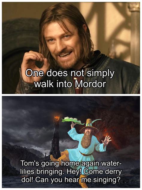 One Simply Can Walk Into Mordor Rlotrmemes