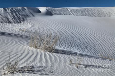 Salt Basin Dunes Lines In The Desert Photograph By Adam Jewell Pixels