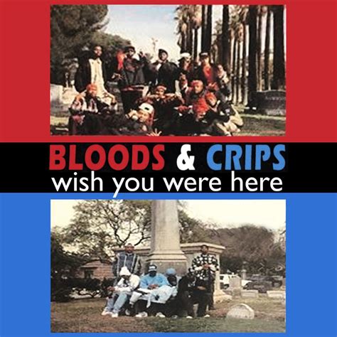 ‎wish You Were Here Ep Par Bloods And Crips Sur Apple Music