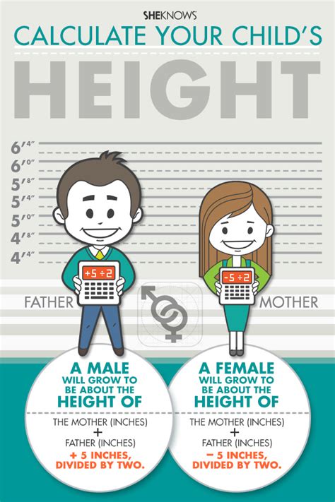 How tall will your child be? - SheKnows