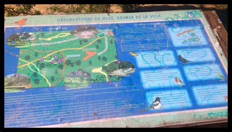 We did not find results for: Hasta que duelan los pies.: Parque Dehesa de la Villa, Madrid.