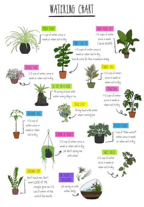 Watering Chart House Plant Care Plants Indoor Plant Care