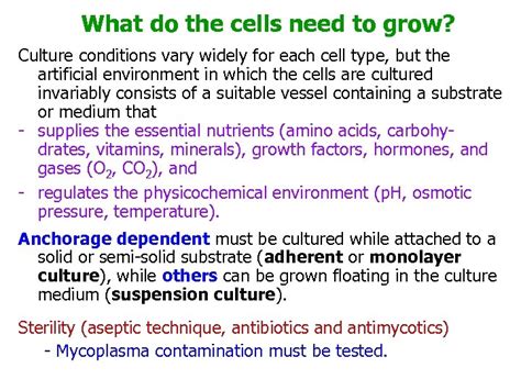 Maybe you would like to learn more about one of these? Animal Cell Tissue and Organ Culture What