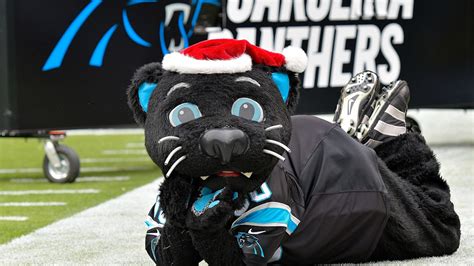 Video Remembering When The Carolina Panthers Mascot Recovered A Punt