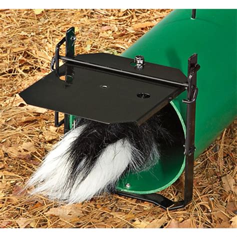 Spray Proof Skunk Trap 175232 Traps And Trapping Supplies At Sportsman S Guide