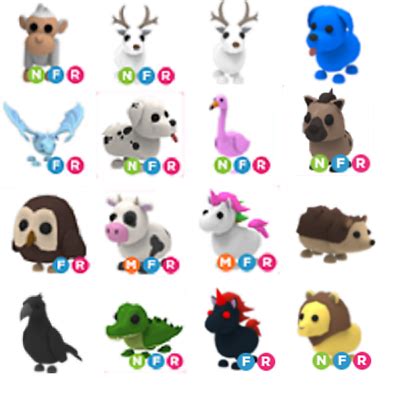 The owl was added into the game along with the other farm egg pets on november 22, 2019, after the jungle egg. Adopt me Haustiere | riesige aktualisiert Lager | Menge ...