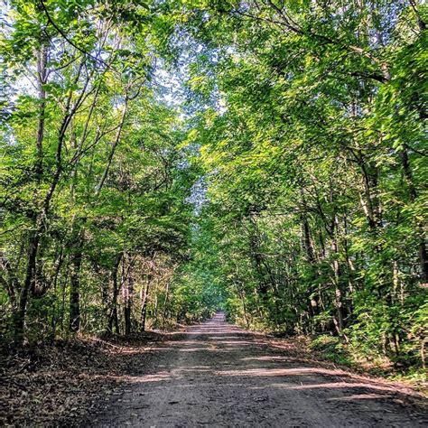 Top 10 Trails In Alabama Rails To Trails Conservancy Rails To