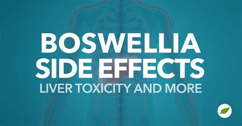 Boswellia Side Effects Liver Toxicity Miscarriage And More