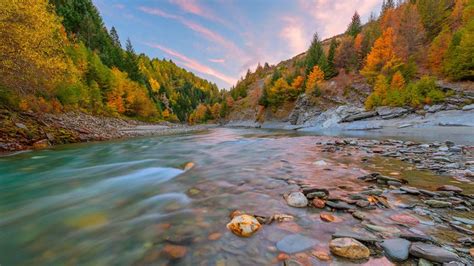 Canyon In Autumn Colors Mountain River Stones Gravel Tree