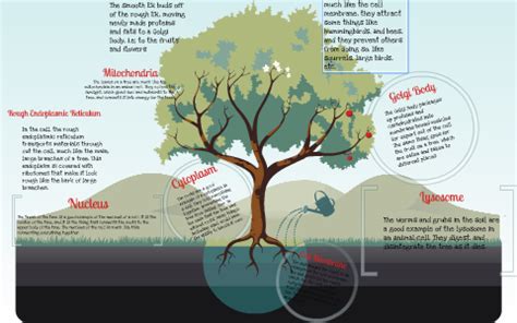 All eukaryotic cells have nucleus, few cells such as the mammalian rbcs may do not have. Cell Simile (Animal Cell) by Greer Shelley on Prezi Next