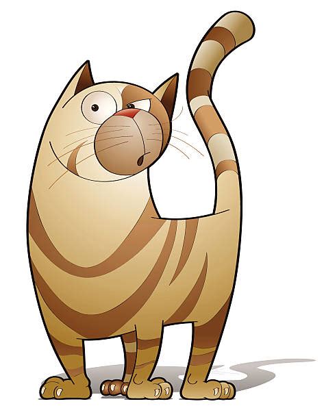Tabby Cat Illustrations Royalty Free Vector Graphics And Clip Art Istock