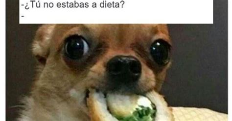 Existen 300 millones de perros en el mundo. Estos son los mejores MEMES del Día Mundial del Perro