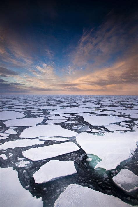 Ice Floes At Sunset Near Mertz Glacier Photograph By Colin Monteath