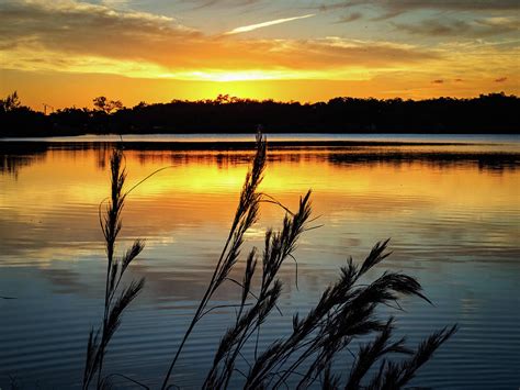 Bushy Beard Sunset Photograph By David Choate Fine Art America