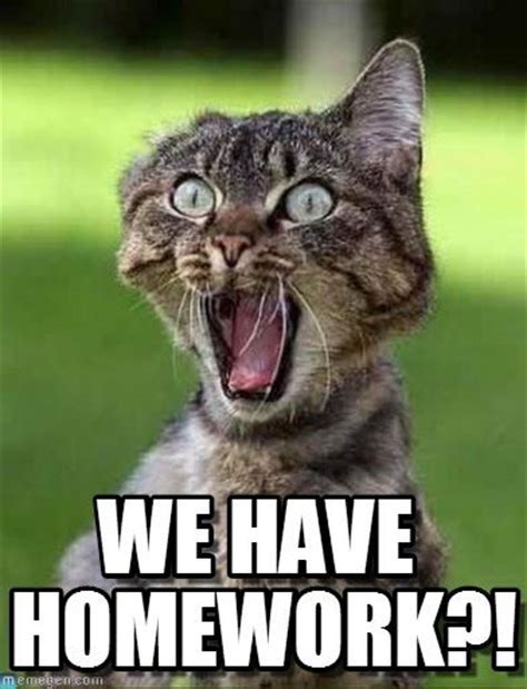Funny Memes About Homework