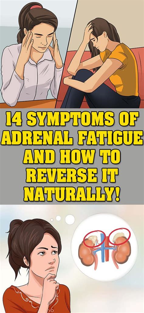 14 Symptoms Of Adrenal Fatigue And How To Reverse It Naturally