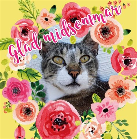 Svenskt midsommarfirande på stranden i ciudad jardin för några år sedan. Glad midsommar - En dagbok om katter