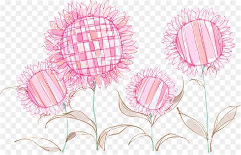 Merah muda (pink) memiliki arti kebahagiaan dan rasa syukur. Umum Bunga Matahari Bunga Warna Gambar Png
