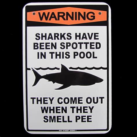 Treasure Gurus Warning Sharks Spotted Pee In Swimming Pool No Peeing