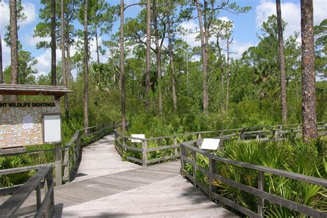 Things to do find unforgettable adventures for every season in naples, marco island and the everglades. Best things you need to do in Naples, FL - local expert ...
