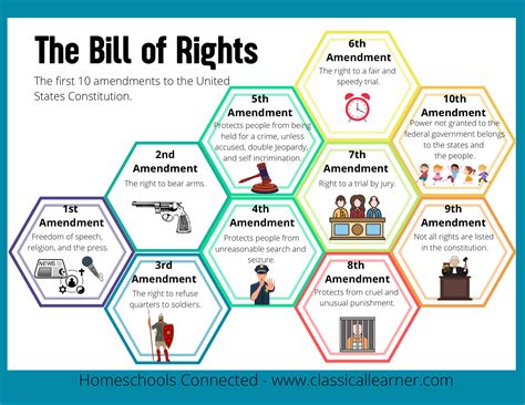 The Bill Of Rights Cheat Sheet Etsy