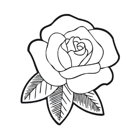 Dibujos De Flores Grandes Para Colorear Dibujos De Rosas Dibujos De