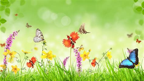 Spring Flowers Grass Butterfly Green Background Creative Design