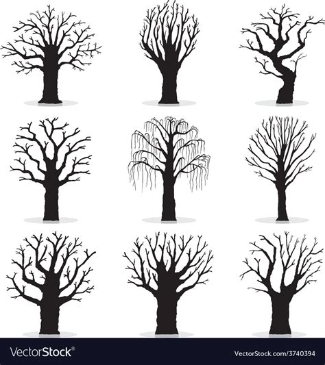 Collection Of Trees Silhouettes Royalty Free Vector Image
