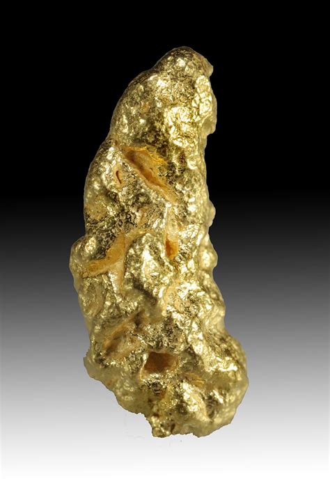 Thick And Elongated California Gold Nugget 184 00 Natural Gold