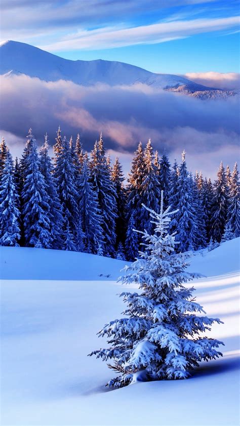 Снег Картинки Красивые На Телефон Telegraph