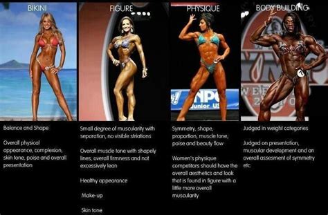 Differences Between Bodybuilding Categories Diagram Fitness