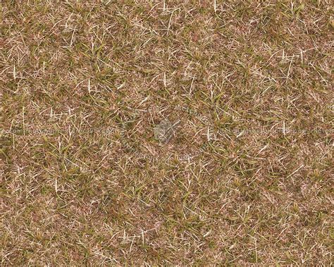 Dry Grass Texture Seamless 12916