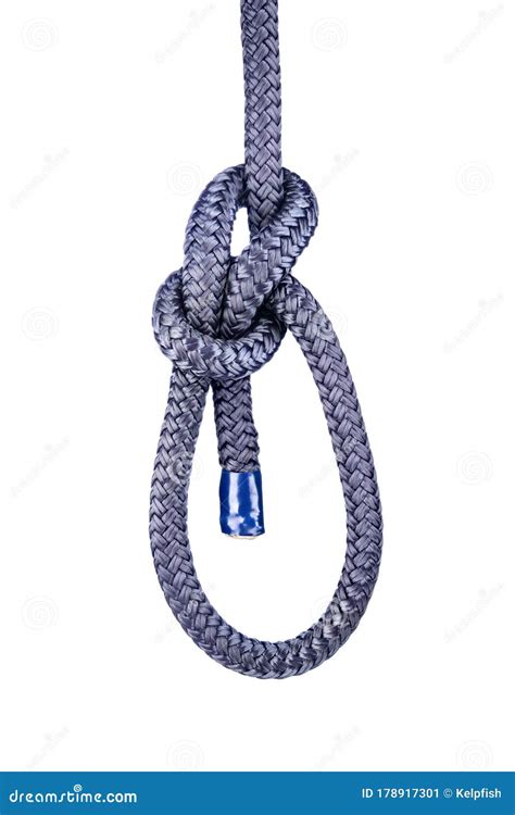 Bowline Knot On White Stock Image Image Of King Application 178917301