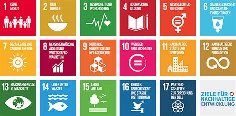 Was beinhalten die 17 ziele, was haben sie mit eurem engagement zu tun und wie sind die sdgs relevant für eure arbeit? Nachhaltige Entwicklung - Agenda 2030 / SDGs ...