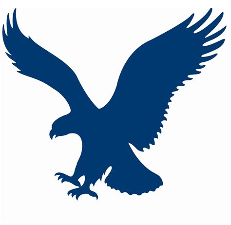 Blue Eagle Logo Company Name