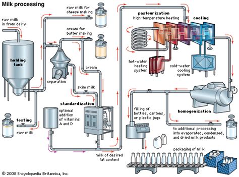 Milk Processing Students Britannica Kids Homework Help