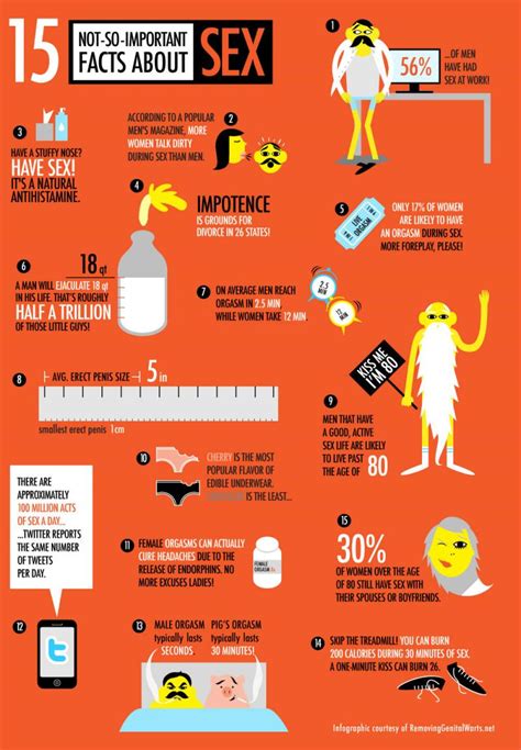 Not Important Facts About Sex Infographic